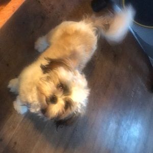 Meet your Posher, Scott